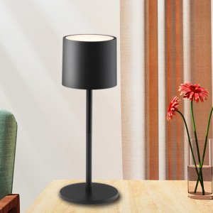 Modern Rechargeable Portable LED Table Lamp Night Light for Bedroom