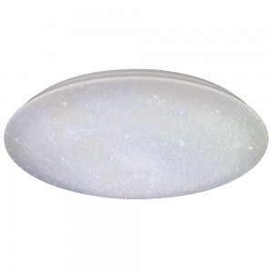 LED Ceiling Light for Indoor Use 323021