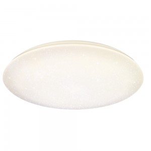 LED Ceiling Light for Indoor Use 323021
