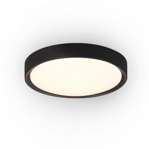 Indoor Lighting LED Ceiling Lamp 323112