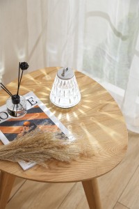 LED Diamond Table Lamp Decorative Light Desk Lamp 303118