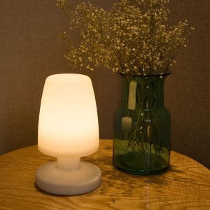 Decorative Desk Light LED Table Lamp 303103 303111