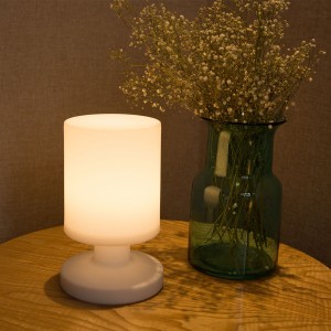 Decorative Desk Light LED Table Lamp 303103 303111