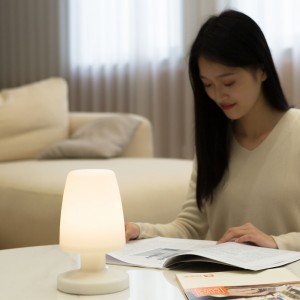 Decorative Desk Light LED Table Lamp 303103 303111